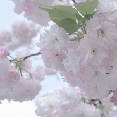 Furry插画构图实用思路兽圈社群