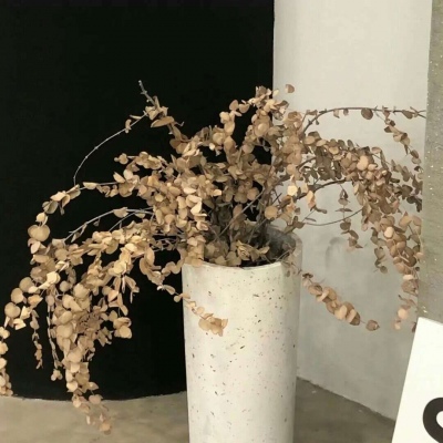 兽设节日场景设计FurryQQ群